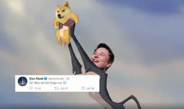 elon musk tweet om dogecoin